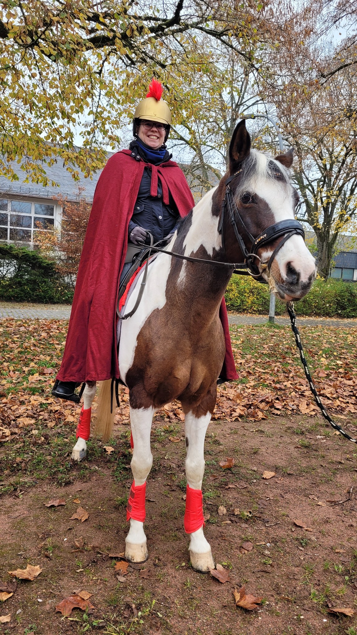 St.%20Martin%20mit%20Pferd%202025